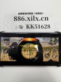 代号 ：STS【异质物档案】纯愈因子